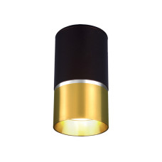 Потолочный светильник Elektrostandard DLN106 GU10 золото 4690389148590