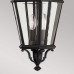 Уличный подвесной светильник Feiss Cotswold lane FE-COTSLN8-M-BK