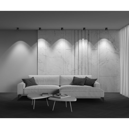 Накладной светильник Maytoni Alfa LED C064CL-12W4K-RD-B
