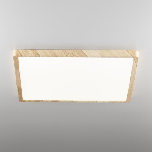 Потолочный светильник Citilux Бейсик CL738K502V