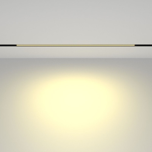Трековый магнитный светильник Maytoni Basis TR030-2-24W2.7K-B
