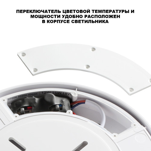 Уличный потолочный светильник с переключателем цв. температуры и мощности Novotech Street Opal 359726
