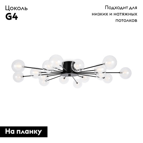 Потолочная люстра Freya Celebrity FR5242CL-16B1