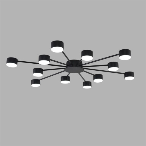 Потолочная люстра Lumion Comfi Torina 8344/12C