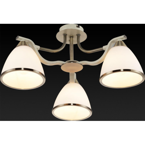 Потолочная люстра Toplight Sheena TL3670X-03AB