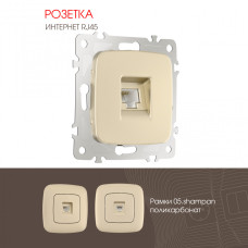 Розетка RJ45 Arte Milano 205.45-1.shampan