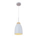 Подвесной светильник LOFT IT Watchman Loft4402A-Wh