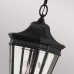Уличный подвесной светильник Feiss Cotswold lane FE-COTSLN8-M-BK