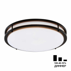 Настенно-потолочный светильник Citilux Бостон CL709505N