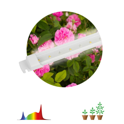 Линейный светильник Эра FITO-10W-Т5-Ra90-Slim Б0057400