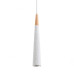 Подвесной светильник Lumion Suspentioni Eoliana 8352/1C