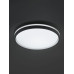 Потолочный светильник Эра SPB-6 Opal 86W-3K-6,5K-RC WH с ДУ Б0070181
