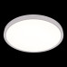 Потолочный светильник Loft IT Extraslim 10227/40 White
