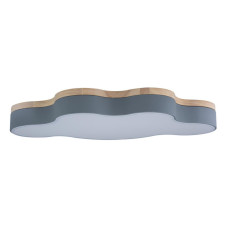 Потолочный светильник Loft IT AXEL 10005/36 Grey