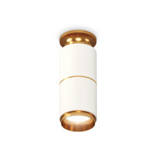 Потолочный светильник Ambrella Light Techno Spot XS6301260 (N6905, C6301, A2062, N6124)