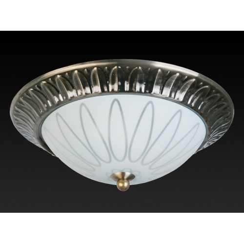 Накладной светильник Toplight Paulina TL5050Y-02AB