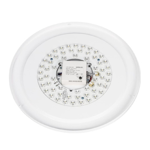 Потолочный светильник Citilux Boss CL751350G