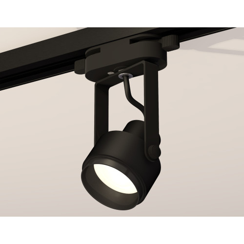Трековый однофазный светильник Ambrella Light Track System XT6602020 (C6602, N6121)