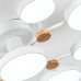 Потолочная люстра LED4U L3201-780 WT