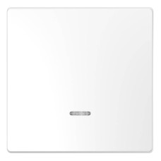 Клавиша одинарная Schneider Electric Merten D-Life MTN3320-6035