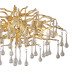 Настенный светильник Lumien Hall Dzhonet LH3065/3W-GD-CL