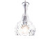 Подвесной светильник Arte Lamp Caraffa A4981SP-1CC