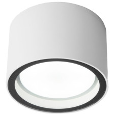 Уличный потолочный светильник Elektrostandard Light 4690389180828