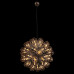Подвесная люстра LOFT IT Taraxacum 10470/600