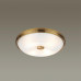 Настенно-потолочный светильник Odeon Light Pelow 4956/4