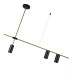 Подвесная люстра Kink Light Рия 07621-4,19