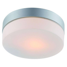Потолочный светильник Arte Lamp Shirp A3211PL-1SI