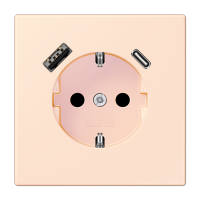 Розетка 2K+З USB Typ AC Jung LC1520-15CA226