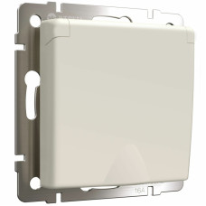 Розетка с заземлением и шторками c крышкой Werkel 4690389184765 W1171262