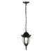 Уличный подвесной светильник ЭРА Галатея GBS-105-BL-0800 230В Е27 IP54 чёрный Б0071486
