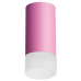 Накладной светильник Lightstar Rullo R43231 (214432+202431)