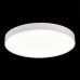 Потолочный светильник ST Luce ST606.542.96