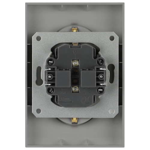 Розетка Эра Arktik 16-2104-03 двойная с заземлением 2X2P+E Schuko 16А-250В алюминий Б0070446