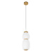 Подвесной светильник Loft IT Duff 10422/A