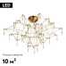 Потолочная люстра ST Luce Gravetta SL6601.202.78