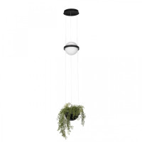 Подвесной светильник Loft IT Jardin 10121/B