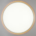 Потолочный светильник Citilux Norma LED RGB CL749600