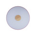 Потолочный светильник Loft IT AXEL 10003/24 Pink