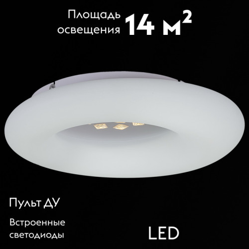 Потолочная люстра Reluce 09049-0.3-80W WT
