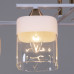 Потолочная люстра Reluce 06096-0.3-04 WH+FG