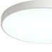 Потолочный светильник Zortes Tortty ZRS.02564.120