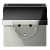 Розетка штепсельная Schuko Jung GCR1520NAKL