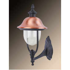 Уличный настенный светильник Arte Lamp Barcelona A1482AL-1BK