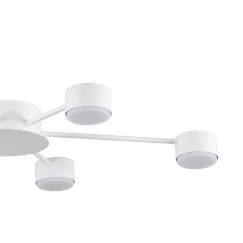 Потолочная люстра Lumion Comfi Torina 8343/6C