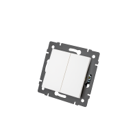 Механизм выключателя двухклавишный самовозвратный Arlight SWT-MKR2-PL-WH-V (250V, 10A) 049883