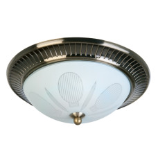 Накладной светильник Toplight Fae TL5060Y-02AB